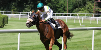 Lake effect: Bubble players fight for ticket to East Lake